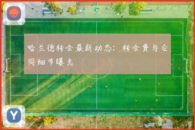 哈兰德转会最新动态：转会费与合同细节曝光